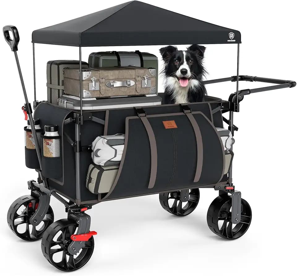 EVER ADVANCED Folding Push Wagon with Canopy, Shopping Cart with Brakes