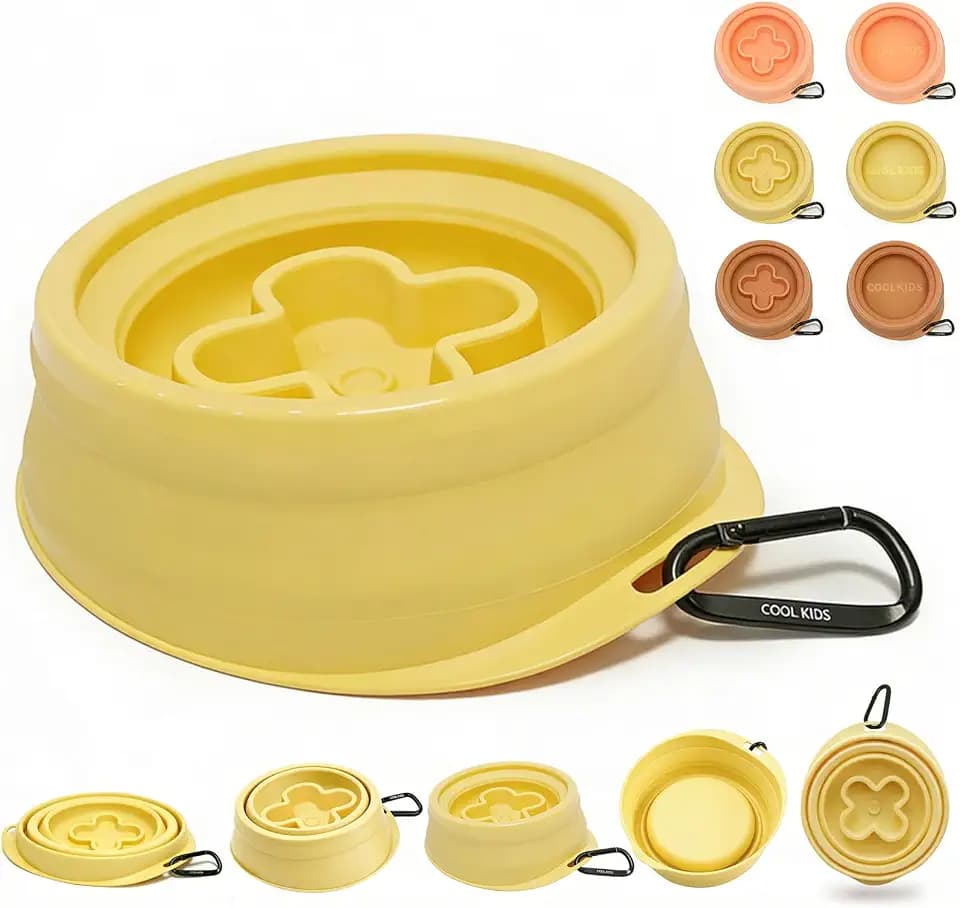 Cool Kids Collapsible Dog Bowl – Portable Anti-Tip Double-Sided Pet Bowl