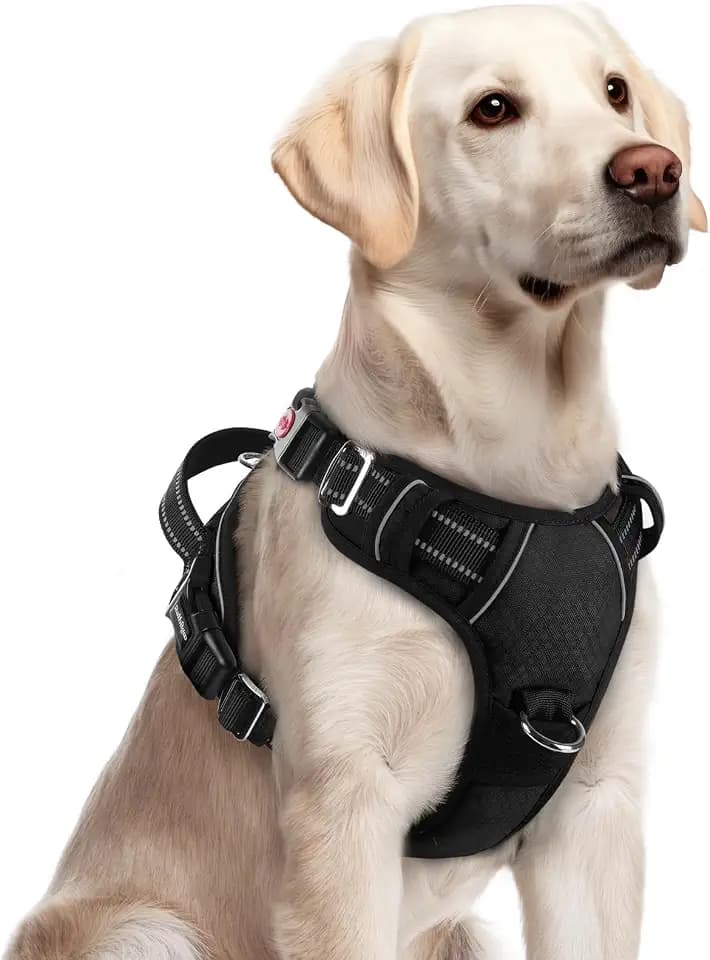 rabbitgoo Dog Harness for Large, No Pull 3 Buckles Easy On & Off