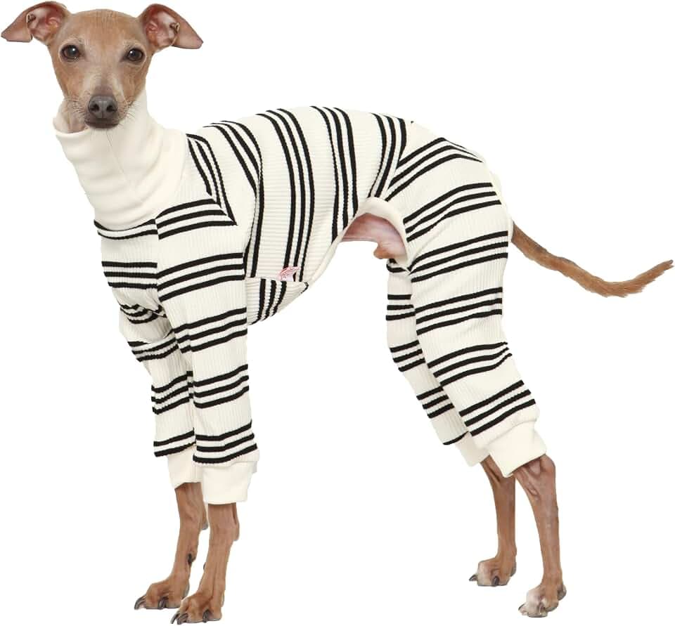D Doggy Star Italian Greyhound Clothes Soft Stretchy Onesie Refined Stripe Outfit Whippet for Dog Coat (3XL,Onsi Black Str)