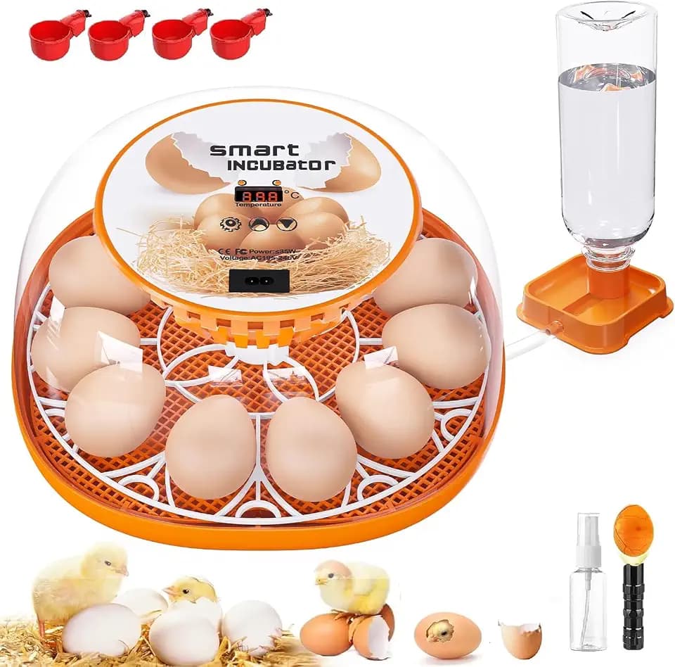 12 Egg Incubator with Automatic Egg Turning and Temperature Control, Automatic Water Adding, LED Egg Candler, Incubators for Hatching Eggs, Chickens, Ducks, Quail