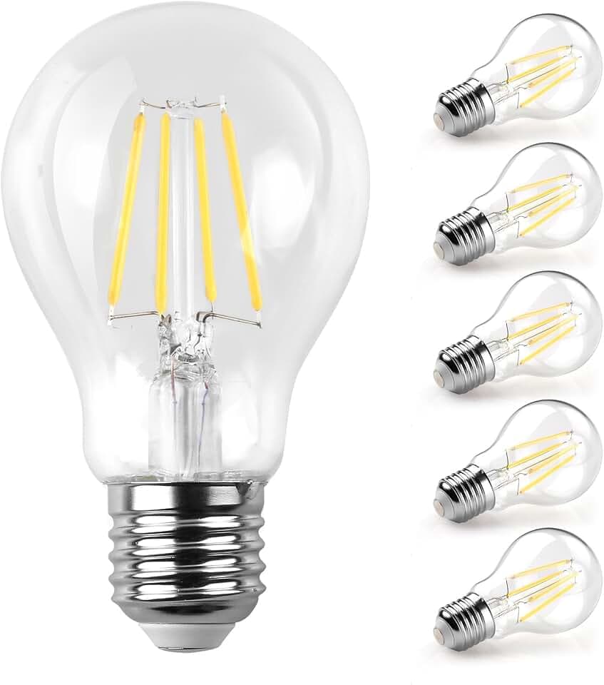 E27 LED Lampe Kaltweiß, Ascher 5er E27 LED Lampe Retrofit Classic,Ersetzt 60W (6W), 800lm, Kaltweiß 6000K, Nicht Dimmbar, E27 LED Birne als Kolbenlampe, klar