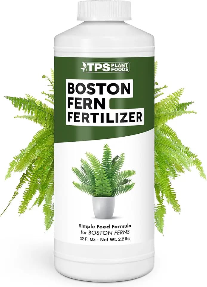 Boston Fern Fertilizer, Liquid Plant Food for Fuller Fronds, 32 oz