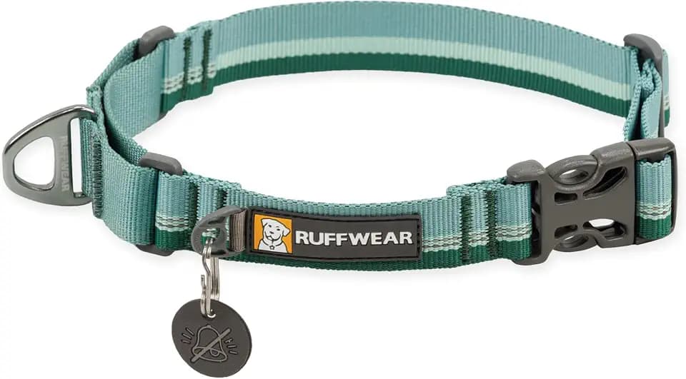 Ruffwear, Web Reaction Martingale Dog Collar, River Rock Green, 23"-26"
