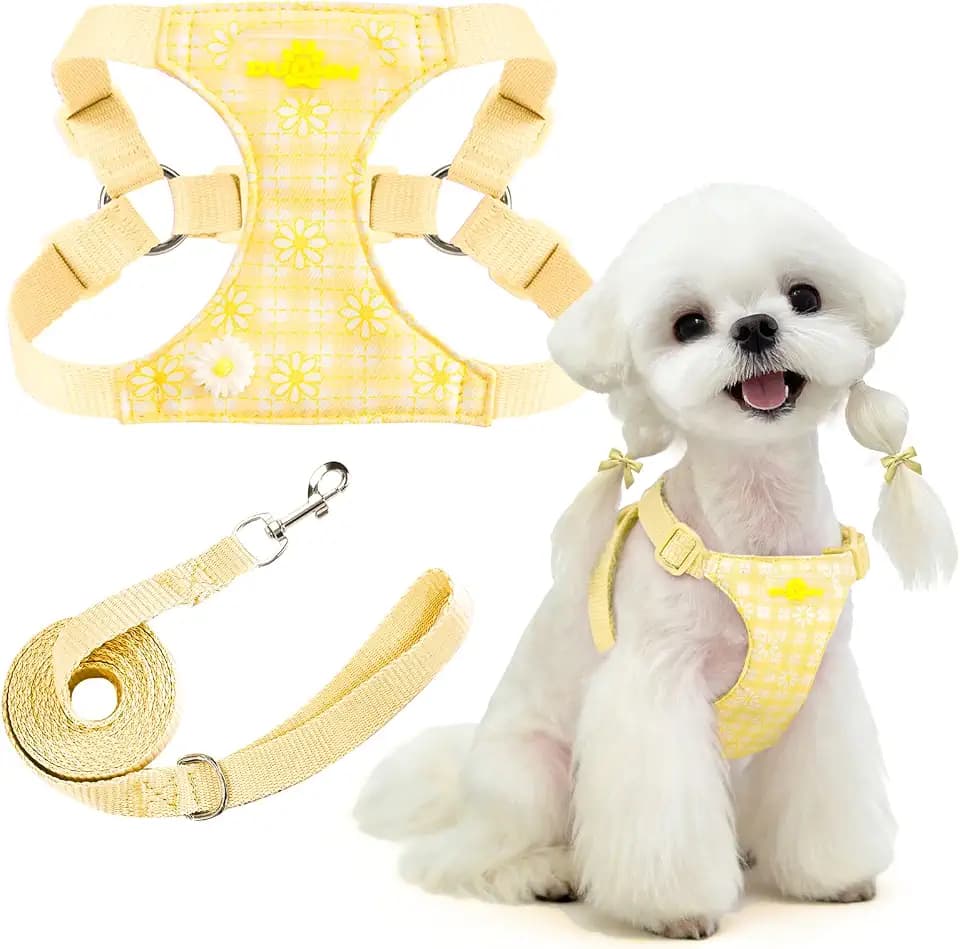 PETCARE Cute Small Dog Harness and Leash Set Yellow Floral Daisy Puppy Harness Vest Adjustable Step in Spring Summer Soft Mesh Flower Girl Dog Harnesses for Chihuahua Yorkie Pomeranian Shih Tzu, XXS