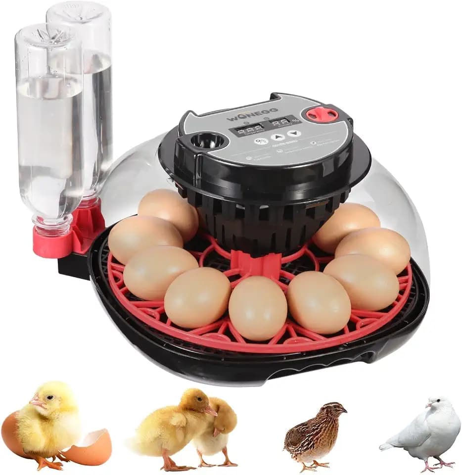 Series II - 12 Egg Automatic Incubator for Beginners, Smart Adaptive Humidity (Dual-Bottle) & Auto Temp Control, Auto Egg Turn, Real-Time Display, Candler, 360° View for Hatching Poultry Eggs