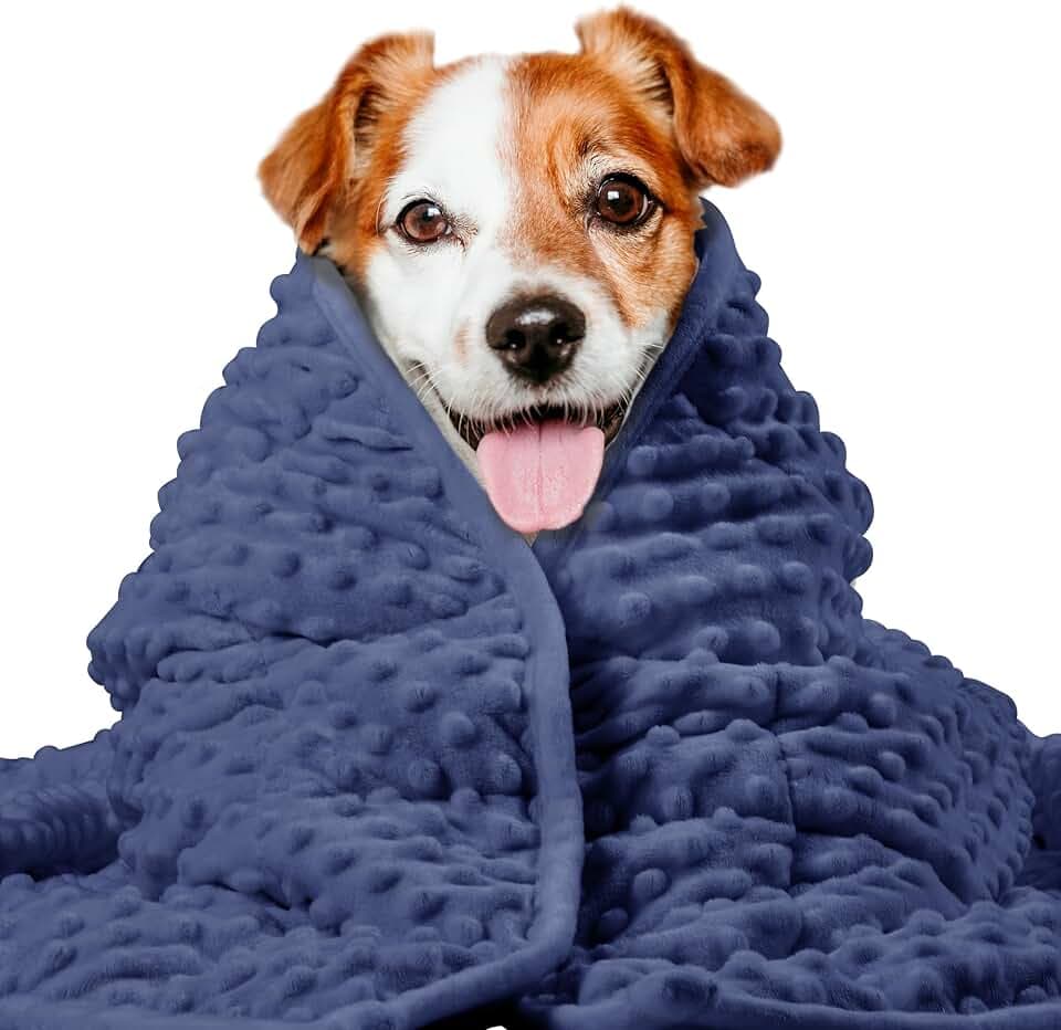 LaSyL Weighted Blanket for Pets | Thunder Blanket for Dogs Anxiety | Premium Soft Minky | Relaxation & Calming & Anti Anxiety | Used in Car, Bed, Couch | Dark Blue, Washable Large (40"x47")