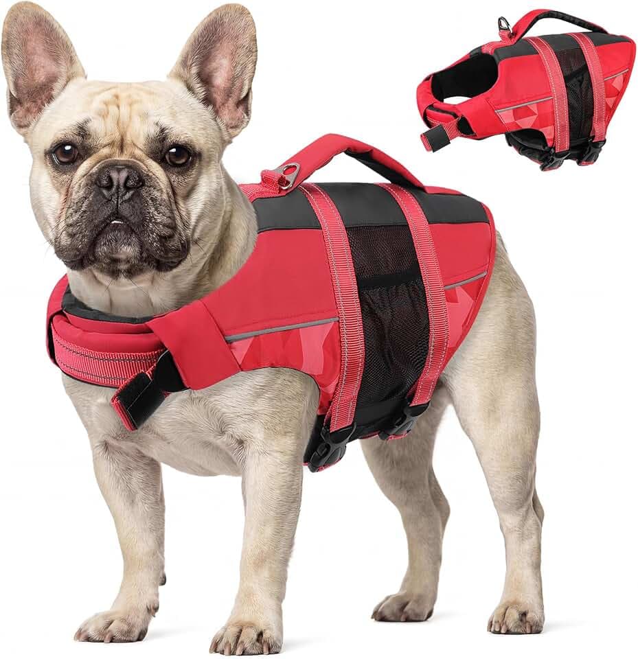 CITÉTOILE Schwimmweste Hund, Hunde Schwimmweste mit Reflektierend Rot M | Rettungsweste mit Griff für Kleine Mittlere Große Hunde, Schwimmweste mit Auftrieb, Leicht und Sicher für Wassersport