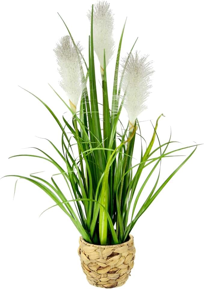 Pampas Gras im Topf Feder Ufergras Seidenblume Grasbusch Dekogras Gräser Kunstpflanze Pflanze Solitärgras Ziergras Dekopflanze Blume Kunstgras Grünpflanze, Weiß, 55 cm, 044558W