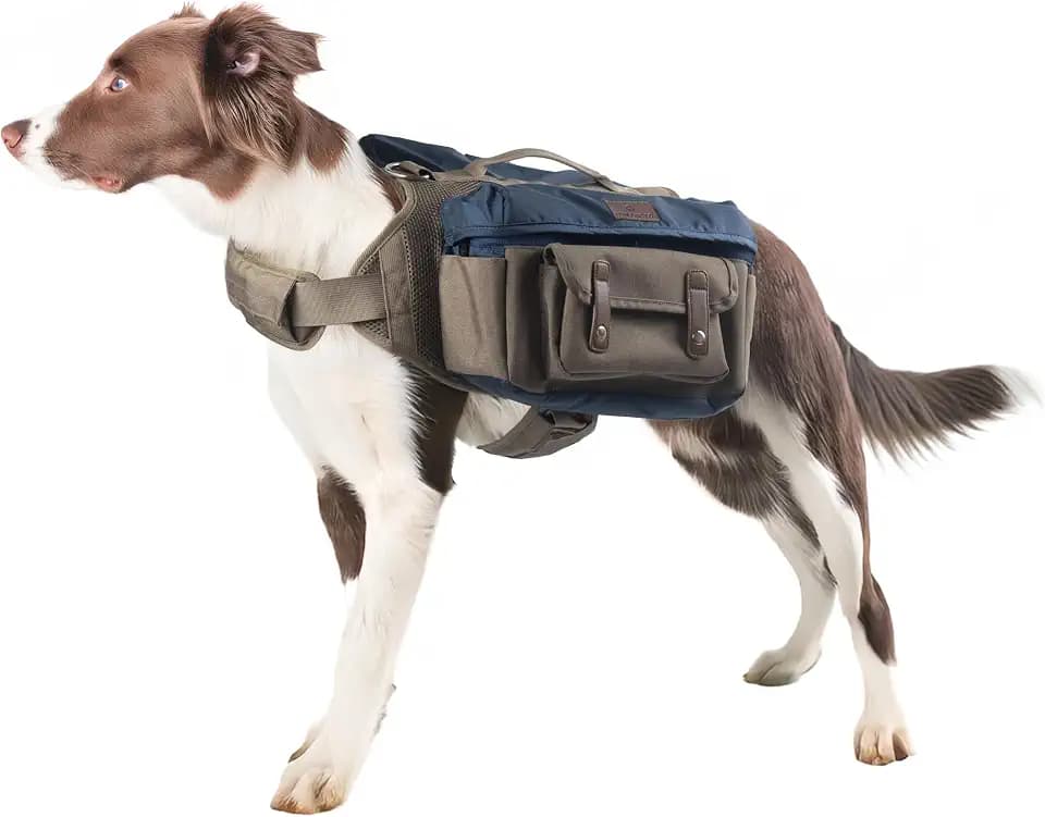 Hundewander-Rucksack für mittelgroße & große Hunde – Verstellbares Hundegeschirr mit Griff, Stauraumfächern, robust für Outdoor, Wandern & Camping (L)
