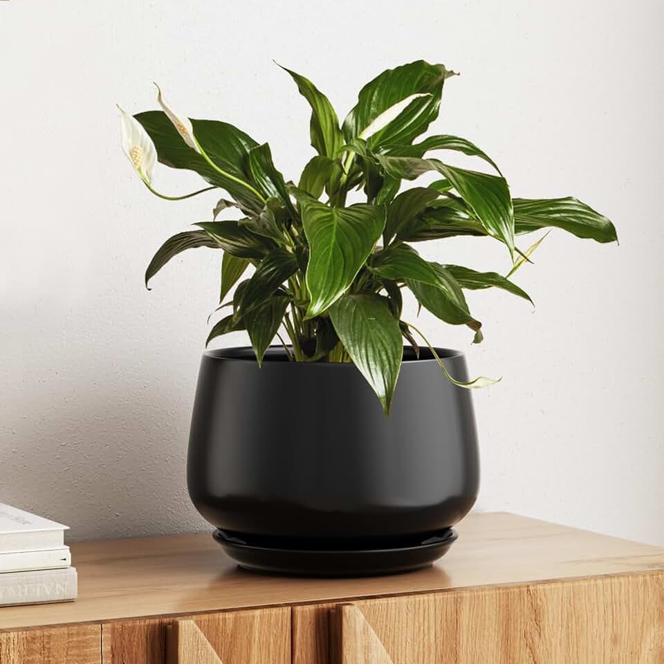 LE TAUCI Blumentopf Keramik mit Integrierter Untersetzer, 25 cm, Schwarz