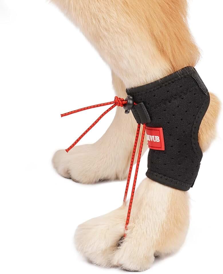 Dog Canine Knuckling Brace Rear Leg Dog Foot Brace Wrap for Toe Dragging Cause by Sciatic Nerve Insufficiency, Myelopathy, Herniated Disc (Large)