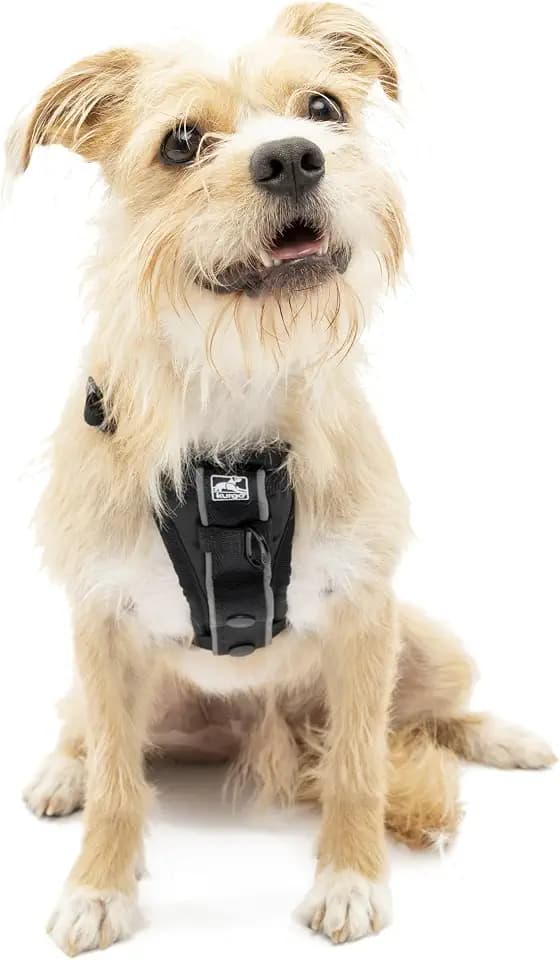 Kurgo Tru-Fit Smart Harness, Black, Small
