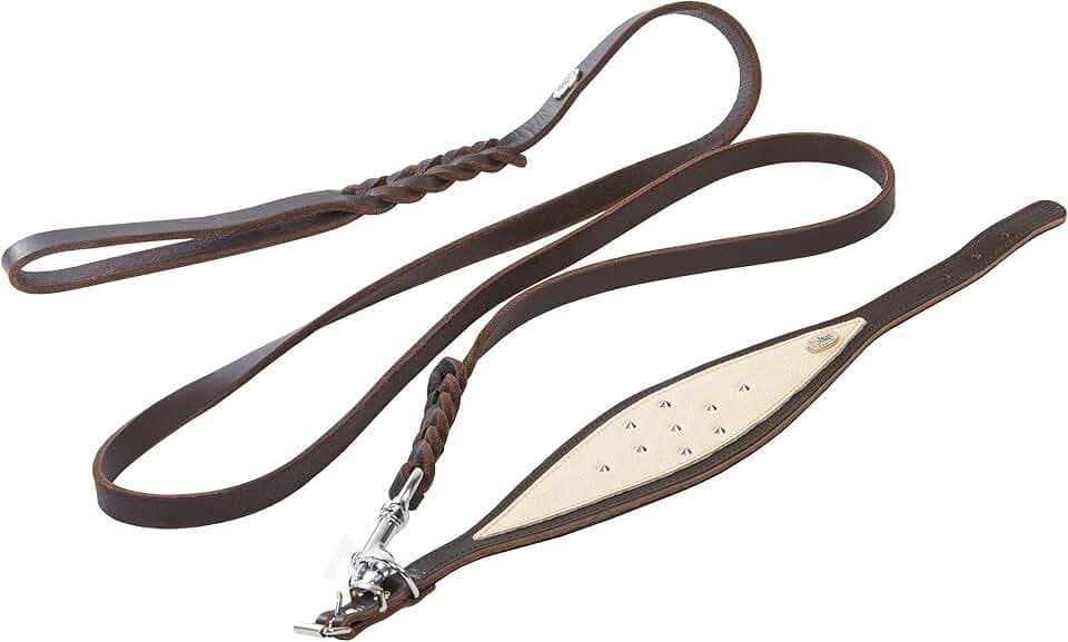 Dingo Waldemar Rutkowski Weiches Leder M Set: Hundehalsband + geflochtene Leine S10029, braun
