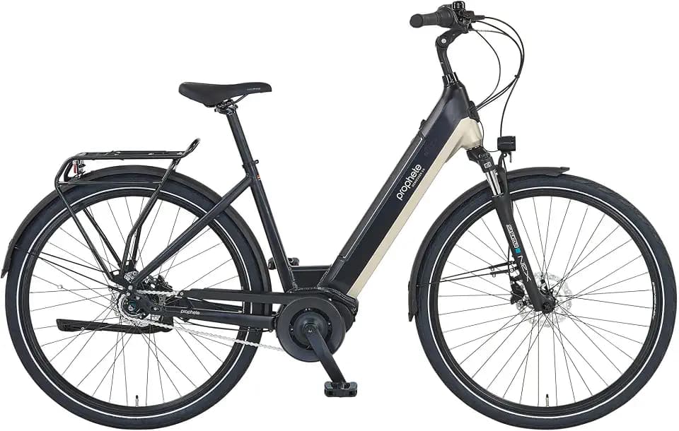 Prophete City E-Bike Geniesser 3.8 RH48