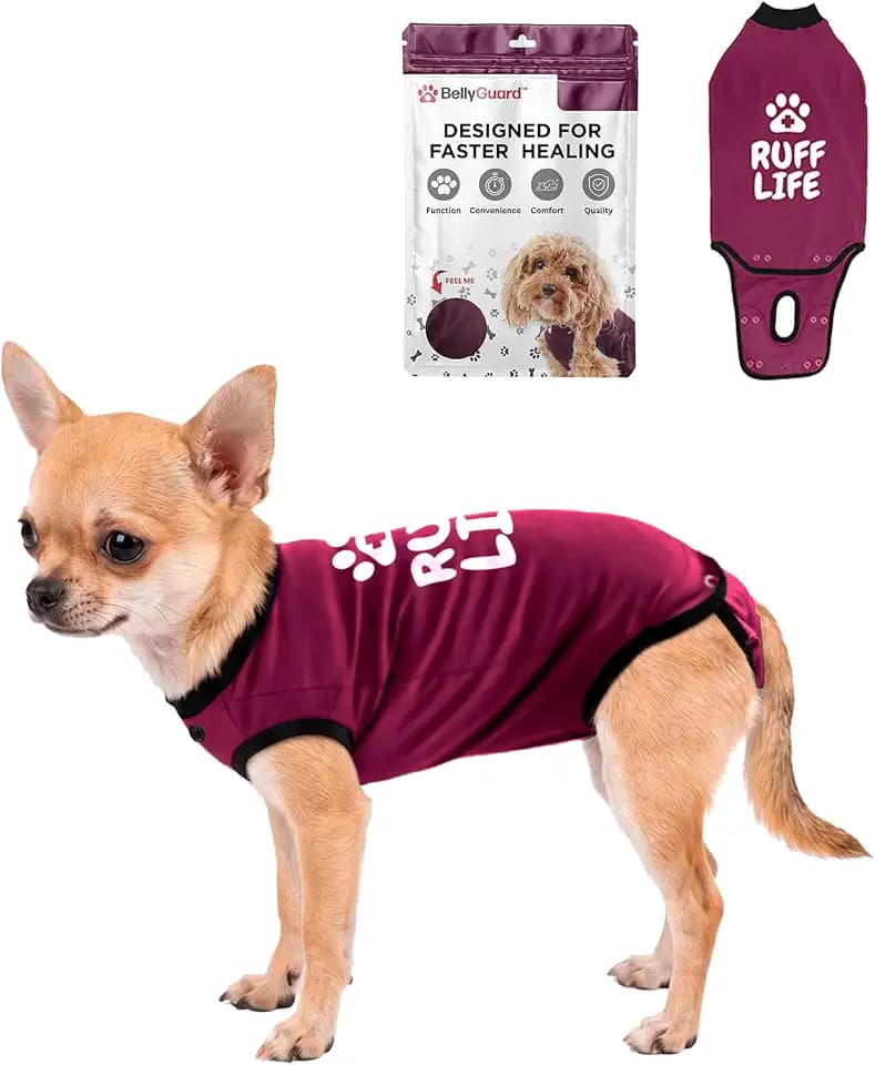 BellyGuard - Nach Operationen, Einteiler zur Genesung des Hundes, nach dem Spay, Kastanienbraun, Body für männliche und weibliche Hunde, Alternative für große und kleine Hunde, weiche Baumwolle