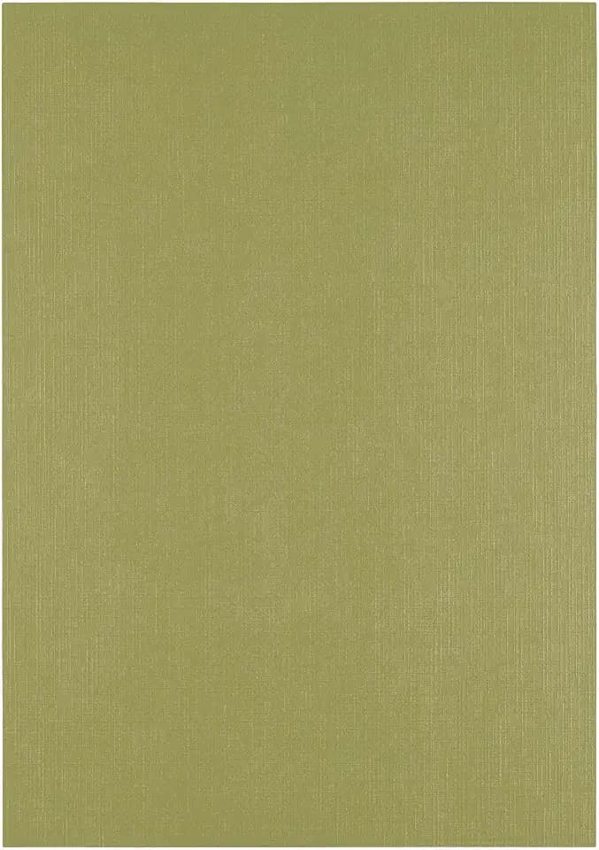 Florence Tonkarton A4-100 St. mit Leinen Struktur Acacia (Grün) 250 g - Scrapbooking Bedarf und Bastelpapier für Kartenbasteln, Scrapbooking und Journaling - Reißfest Buntpapier