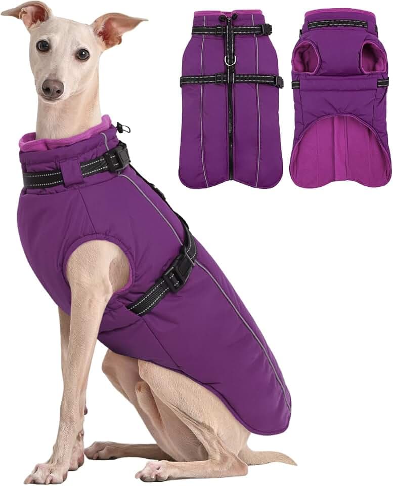 Kuoser Hundemantel für Große Hunde Winter, wasserdichte Hundejacke mit Geschirr, Warmer Hunde Wintermantel Fleece, Fleecemantel Hundepullover Lila 3XL