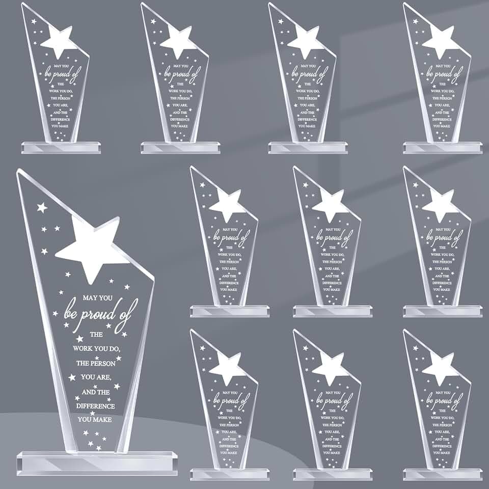 Bucherry 10 Pcs Employee Awards Thank You Trophies Acrylic, Stylish