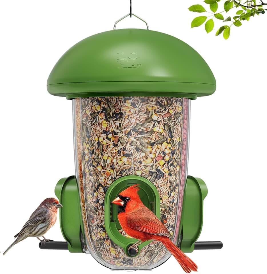 LONA Bird Feeder with 3 Compartments, Dome Bird Feeder for Outdoors, Plus