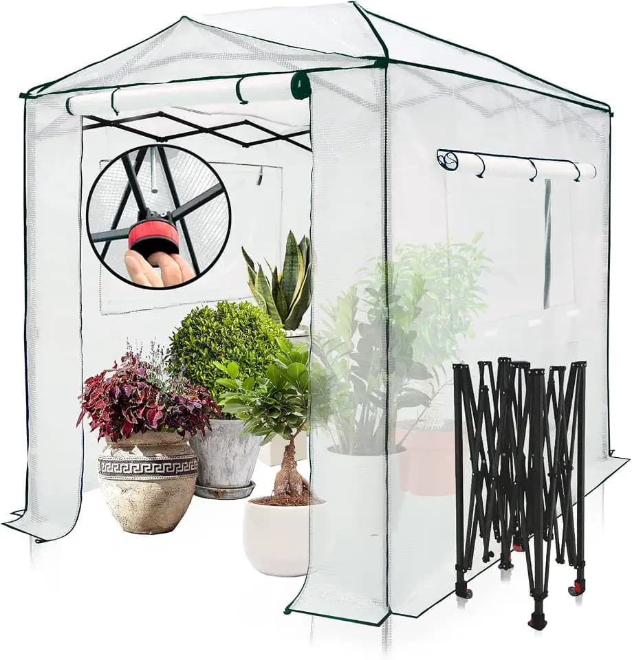 EAGLE PEAK 8x6 Easy Setup Pop Up Greenhouse, Clear/White