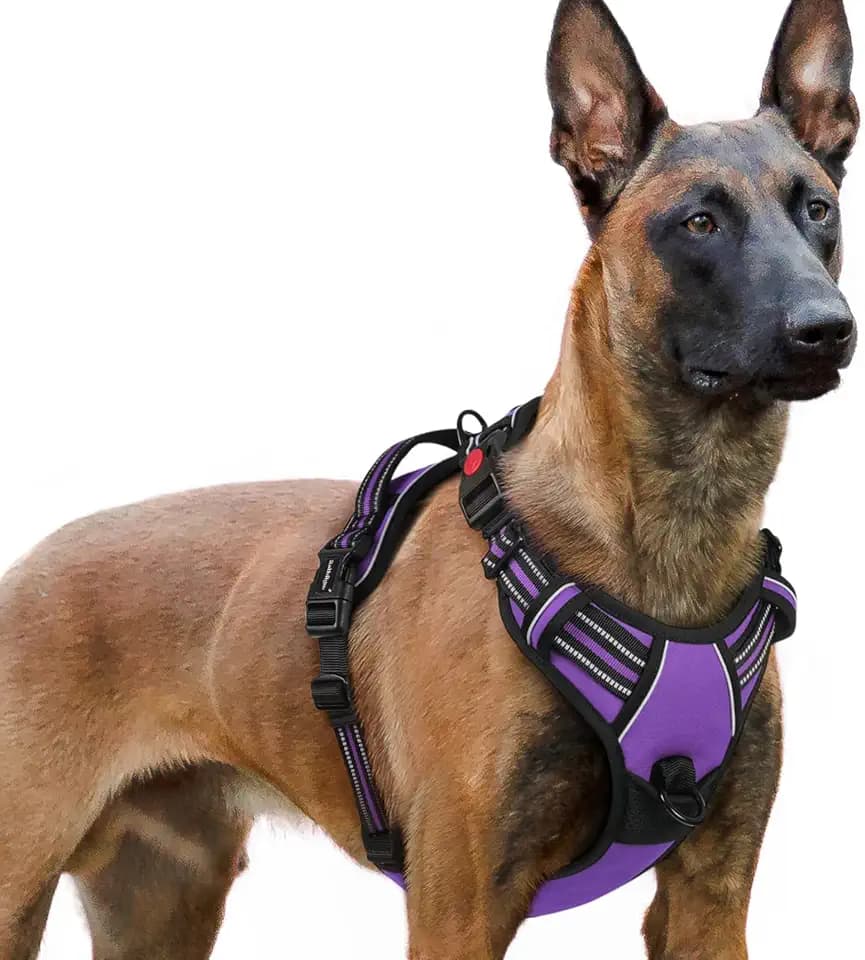 rabbitgoo Dog Harness for Large, Updated Easy On & Off with 3 Buckles