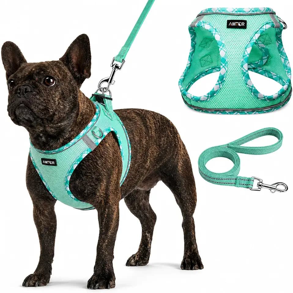 AMTOR Small Dog Harness with Leash Set, No Escape Easy Walk Puppy Harnesses for Training Walking, Step-in Reflective Soft Dogs Vest for XS S Medium Extra-Small Large Sized Dog(Green,M)