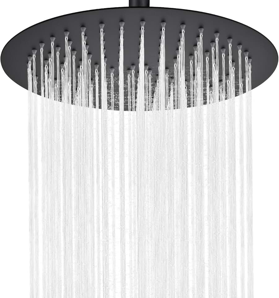 Auralum Regendusche Duschkopf 10 Zoll, Runder Regenduschkopf ⌀25 cm aus Edelstahl, 360° Verstellbare Kopfbrause Groß mit Selbstreinigenden Düsen, Schwarz