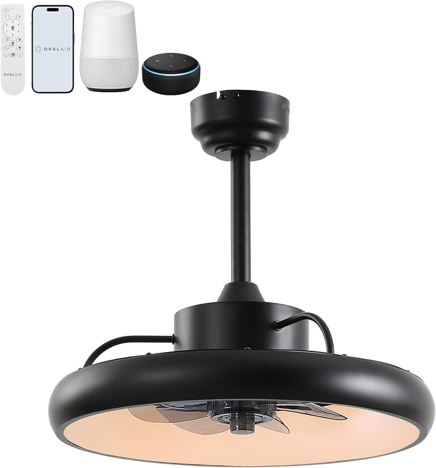 Oval AIR Loren 20" Small Smart Ceiling Fan with Light, Semi Flush Mount, Quiet 6-Speed Reversible Motor, Dimmable LED, Adjustable CCT, App & Remote Control, Modern, Black AIR8002B