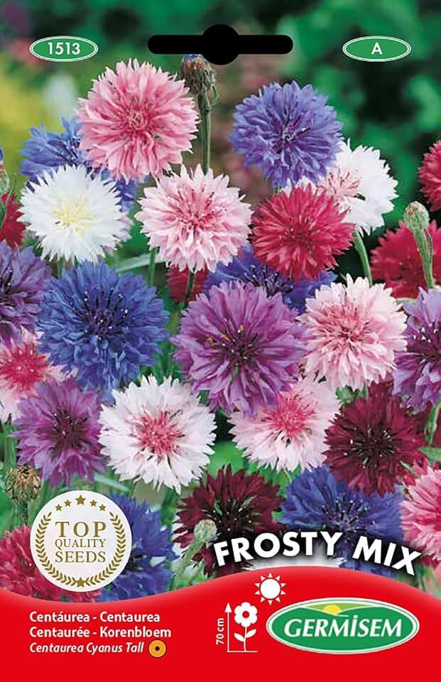 Germisem Kornblume FROSTY MIX EC1513 mehrfarbig