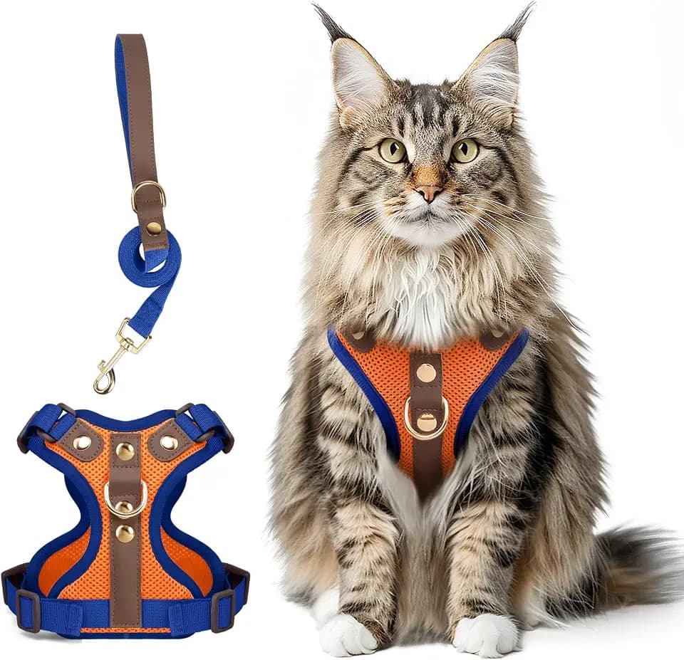 Ausbruchsicheres Katzen Geschirr & Leine Set, Verstellbares Reflektierendes Geschirr mit Atmungsaktivem Mesh und Hochwertigem Leder für Katzen & Kätzchen (Orange + Blau, M)