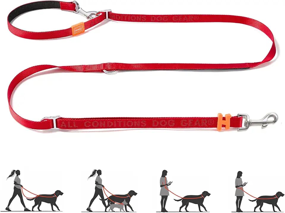 HOWGO Multifunctional Adjustable Hands Free Leash (Red, Standard)
