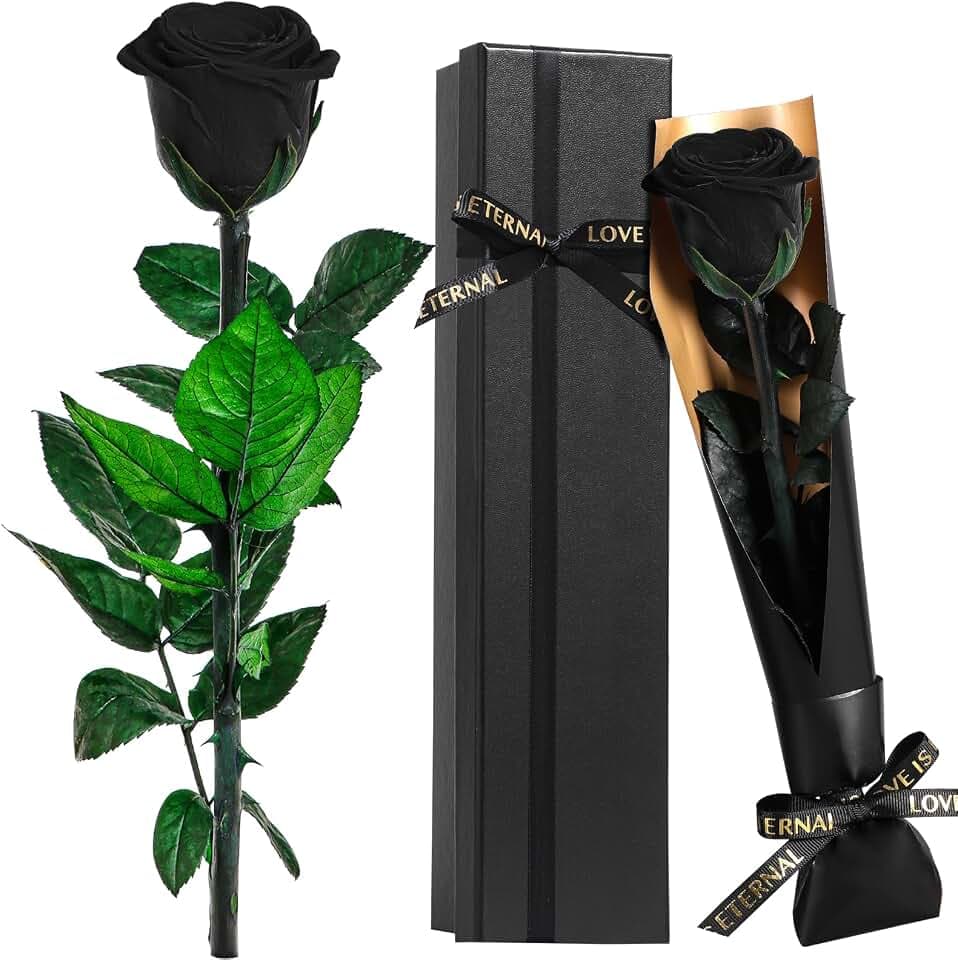 Touloube Ewige Infinity Rosen Geschenk, Schwarz Rose Blumen Geschenke für Frauen Mama Freundin Ehefrau Freundinnen, Eternal Rose Geburtstagsgeschenk Jahrestag Geschenk Frau