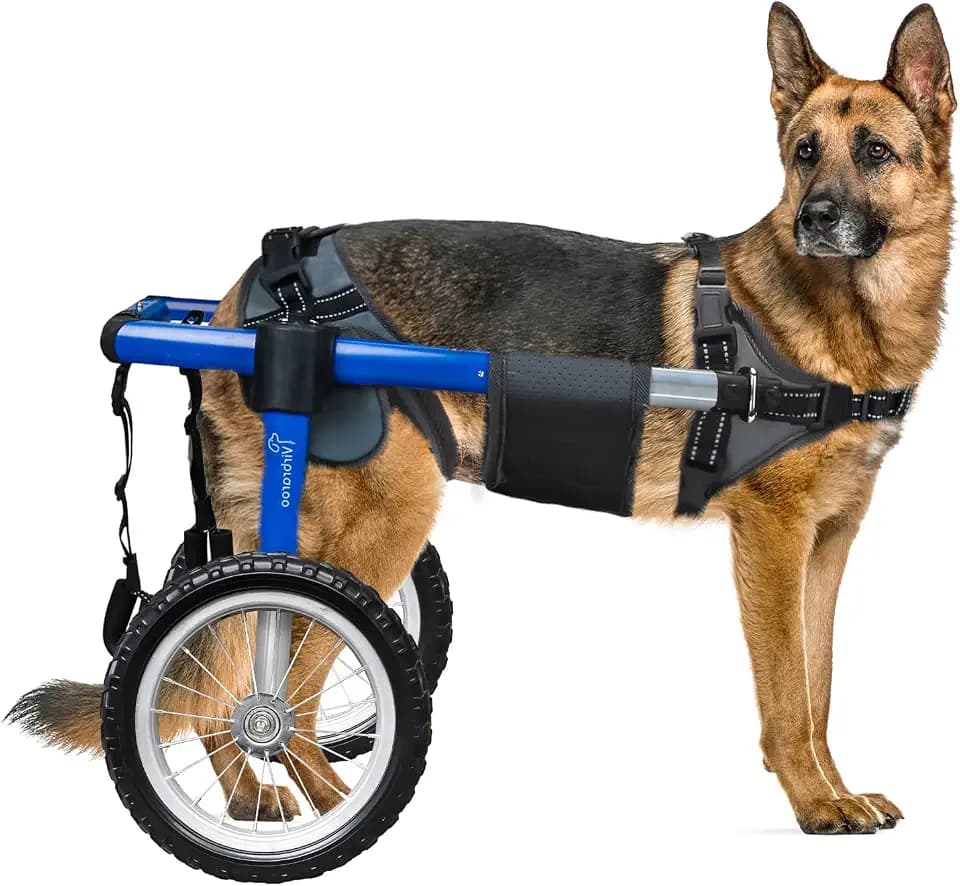 Dog Wheelchair for Back Legs, Dog Wheelchair with All-Terrain Tires & Durable Bearings, Large Dog Wheelchair for Back Legs,88.1-132.2 lbs(XXL)