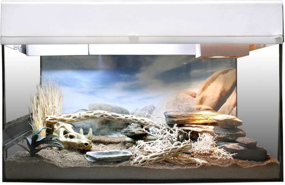 Lucky Reptile Starter Kit Wüstengecko 50 cm weiß, für kleine Geckos
