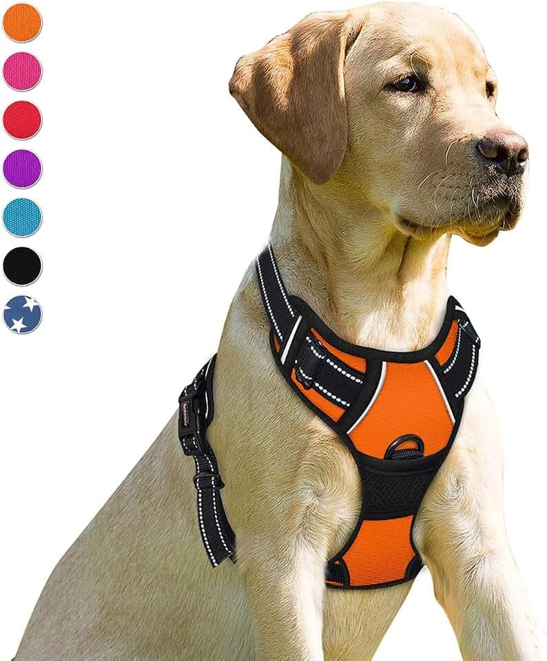 BARKBAY Dog Harness No-Pull Pet Harness Adjustable Outdoor Pet Vest Front Clip Heavy Duty 3M Reflective Oxford Material Vest for Dogs Easy Control for Small Medium Large(Orange,M) Dogs(Orange,M)