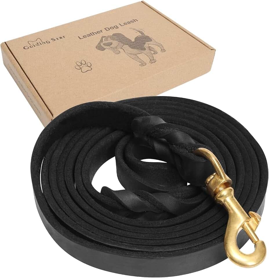 Guiding Star Hundeleine aus Leder, 1,8 m, weich, langlebig, echtes handgefertigt, geflochtenes Leder, strapazierfähig, robust, für große und mittelgroße Hunde