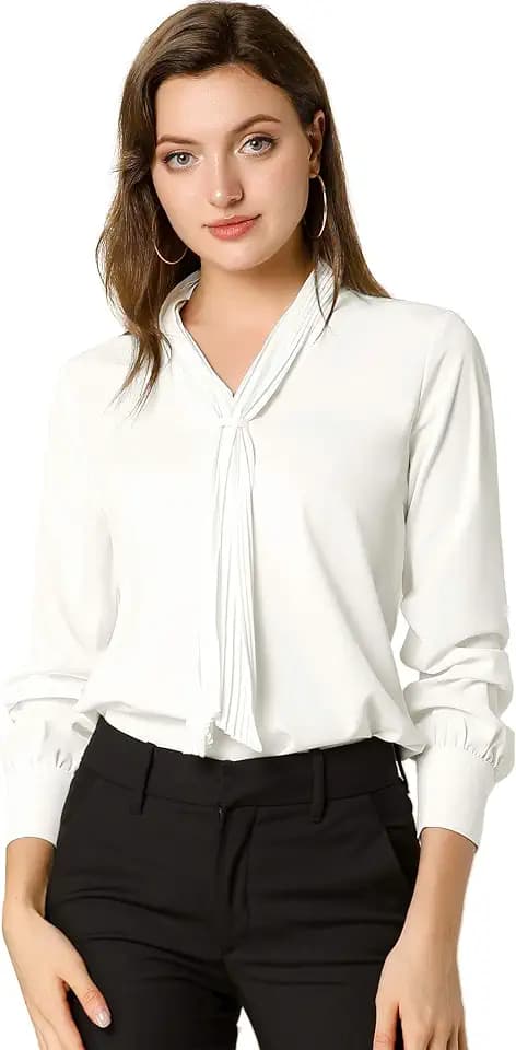 Allegra K Womens Long Sleeve Blouses Chiffon Pleated Tie Neck Office Top