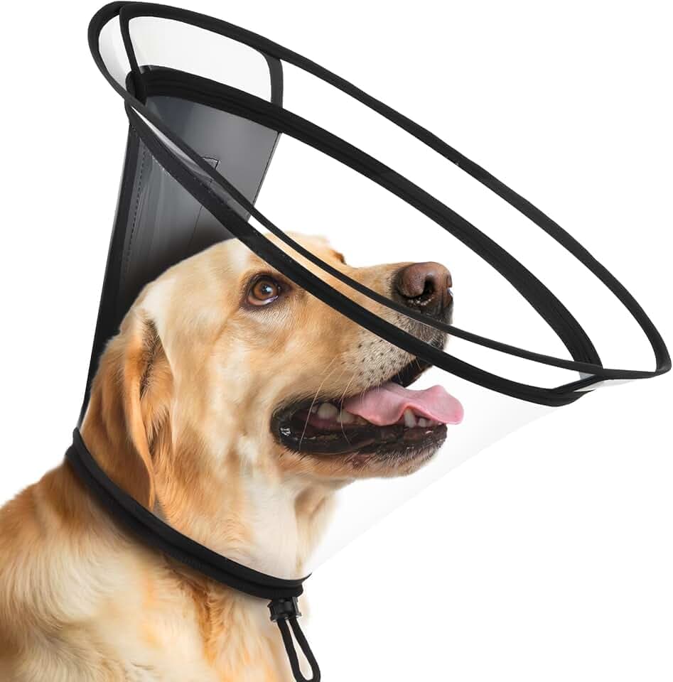 BONTHEE Clear Dog Cone Collar–Extra-Long Recovery E-Collar for Dogs, Transparent Adjustable Dog Cones Alternative for Small Large Medium Size Dogs,Protective Neck Brace with Soft Edges-L
