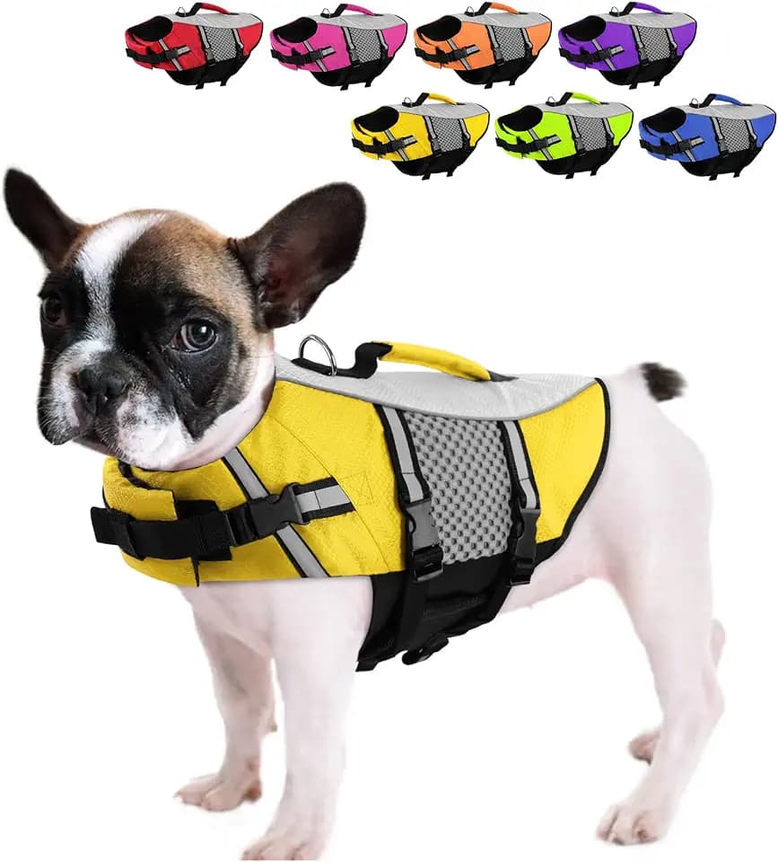 Queenmore Lightweight Dog Life Jacket Swimming Vest for Small Medium Dogs