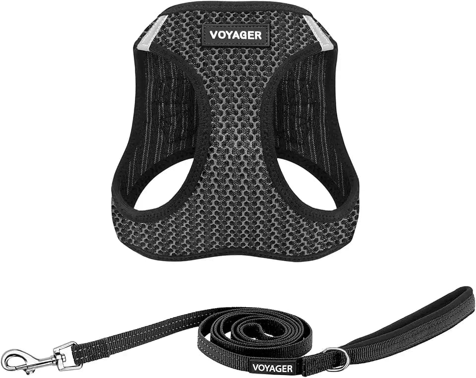 Best Pet Supplies Voyager Step-in Air All Weather Mesh Harness and Reflective Dog 5ft Leash Combo with Neoprene Handle, for Small, Medium and Large Breed Puppies - Gray 2-Tone, Medium