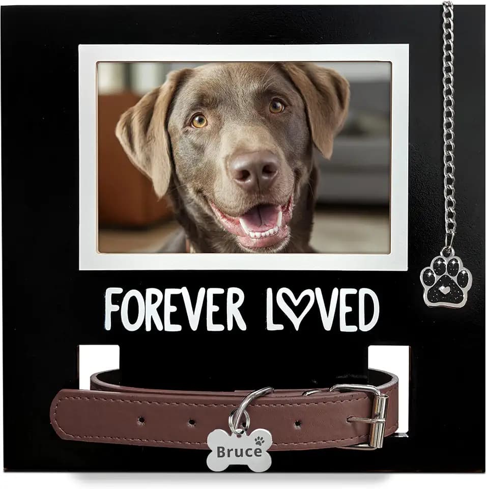 MYPAWLETS Pet Loss Gift,Dog/Cat Collar Memorial Frame with Paw Print Charm