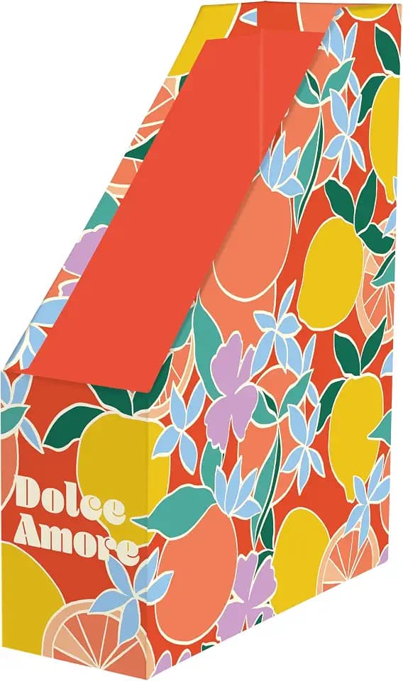 Clairefontaine 116274C - Zeitungsständer Stehsammler Dolce Amore, geeignet für Home Office, 25x10x32,5 cm, 1 Stück