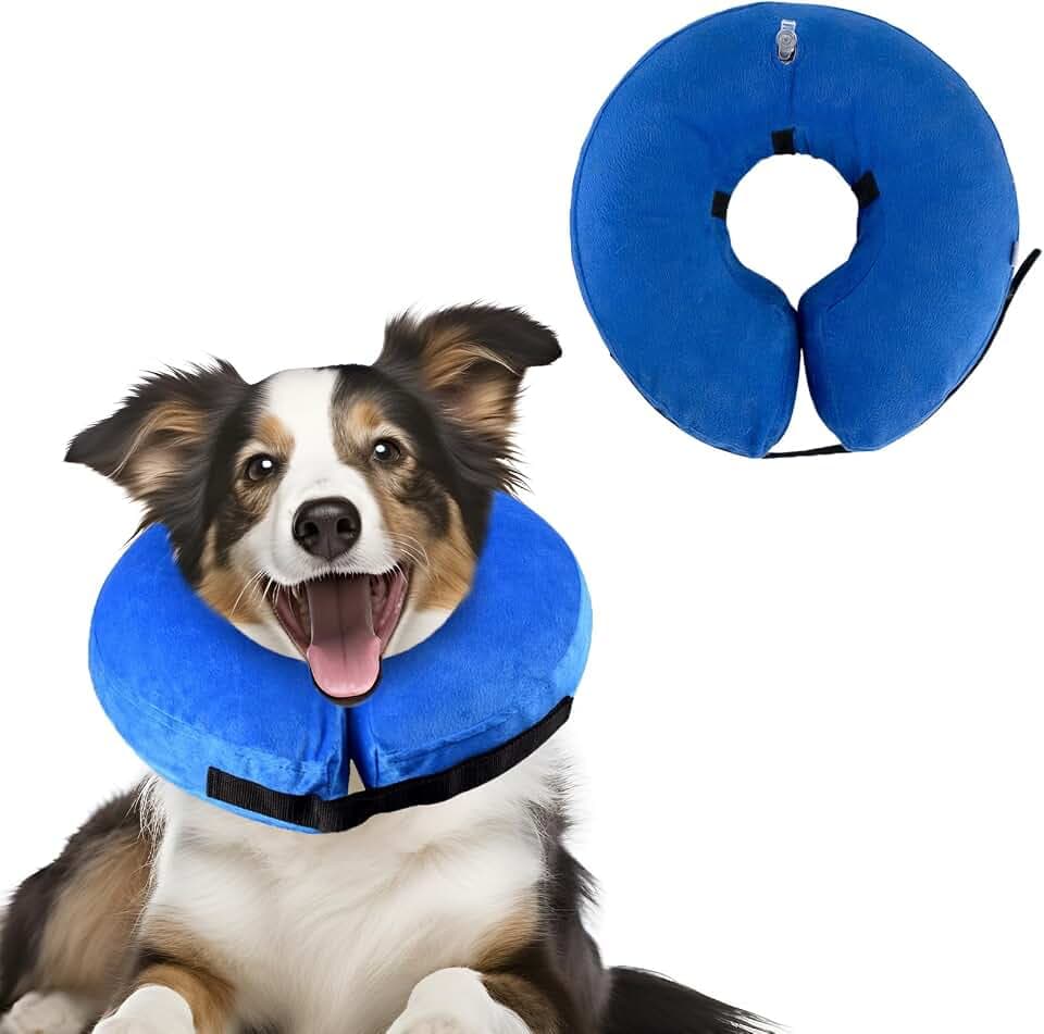 Halskrause Hund, Halskrause Katze, Halskrausen Hunde, Aufblasbare Halskrause Hund, den Postoperativen Schutz von Kopf, Brust und Bauch (Blau, S)