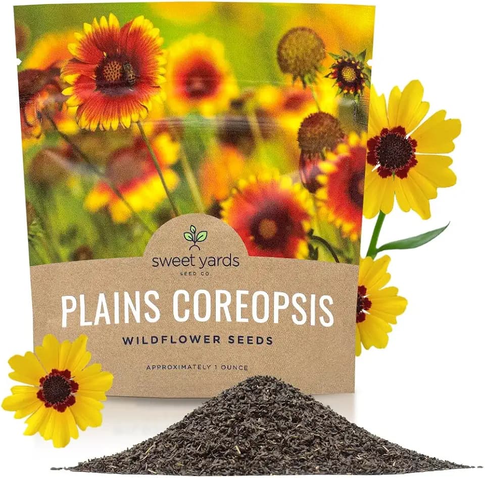 Plains Coreopsis Seeds – Native Flowers – Extra Large Packet – Over 100,000 Open Pollinated Non-GMO Wildflower Seeds – Coreopsis tinctorial