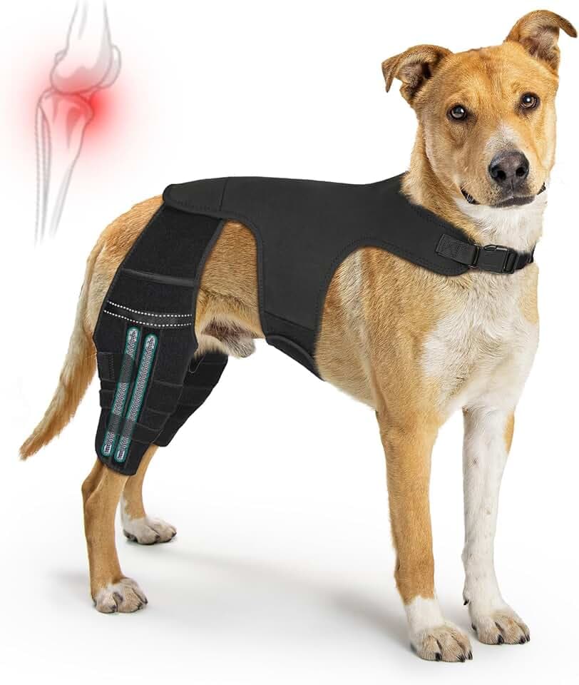 Dog Knee Brace for Torn ACL Hind Leg, Adjustable Dog Leg Braces with Metal Stabilizers Strong Joint Support to Reduce Pain from Arthritis, Ligament Injury, Hip Dysplasia, Luxating Patella (XL-4)