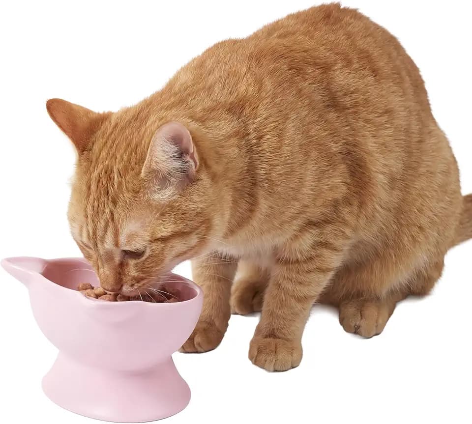 Kitty City Elevated Cat Bowls (Set of 2), Whisker-Friendly Raised Cat Food & Water Dishes, Modern Pedestal Design, Dishwasher Safe, 6.5 oz Each – Pink