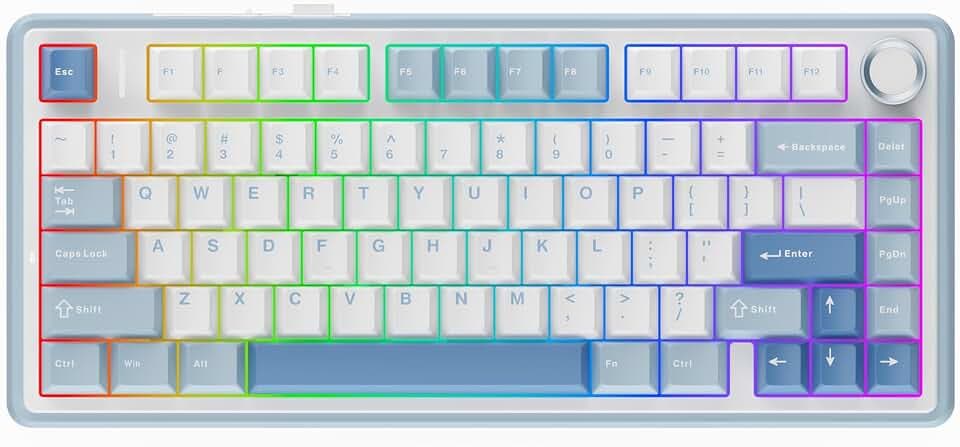EPOMAKER x Aula F75 Gasket Mechanical Keyboard, 75% Wireless Hot Swappable Gaming Keyboard with Five-Layer Padding&Knob, BT/2.4GHz/USB-C, RGB (Sea Salt Blue, LEOBOG Reaper Switch)