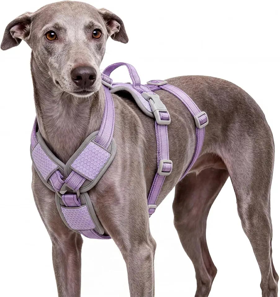 ThinkPet Flexfit 3-Strap Escape Proof Dog Harness, No Pull Front Clip 2-in-1 Vest with Control Handle, 360° Reflective Breathable Adjustable Harness for Greyhound Whippet Vizsla, Small, Purple