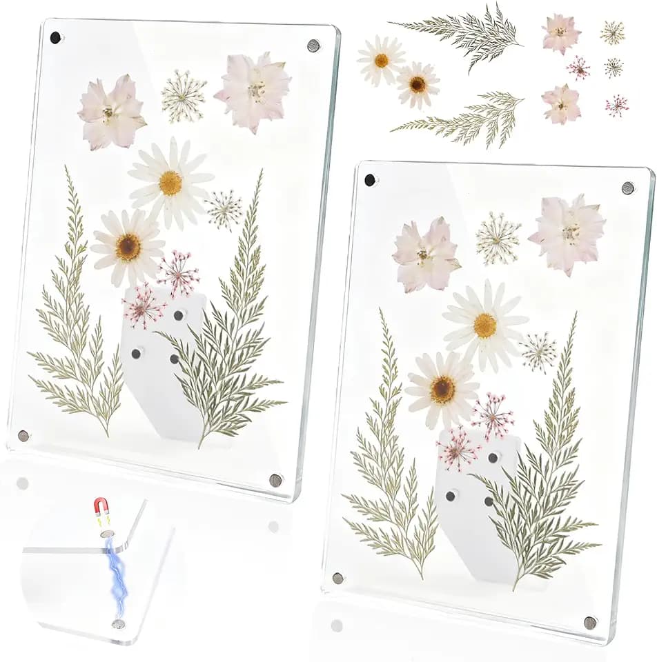 Clear Acrylic Magnetic Pressed Flower Frame, Double Panel Floating Frame for Dried Flower Display, Easy-Open Magnetic Acrylic for DIY Art, Home & Office Wall Décor Gift(Transparent 2Pcs, 5X7in)